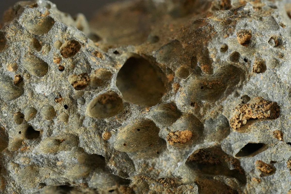adsorption pores charcoal