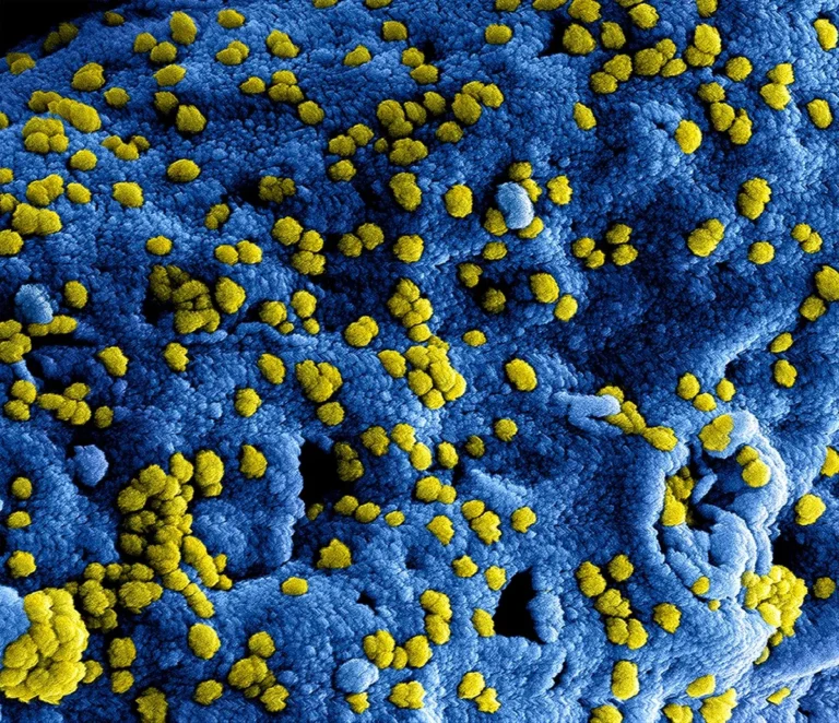 arsenic in water risks