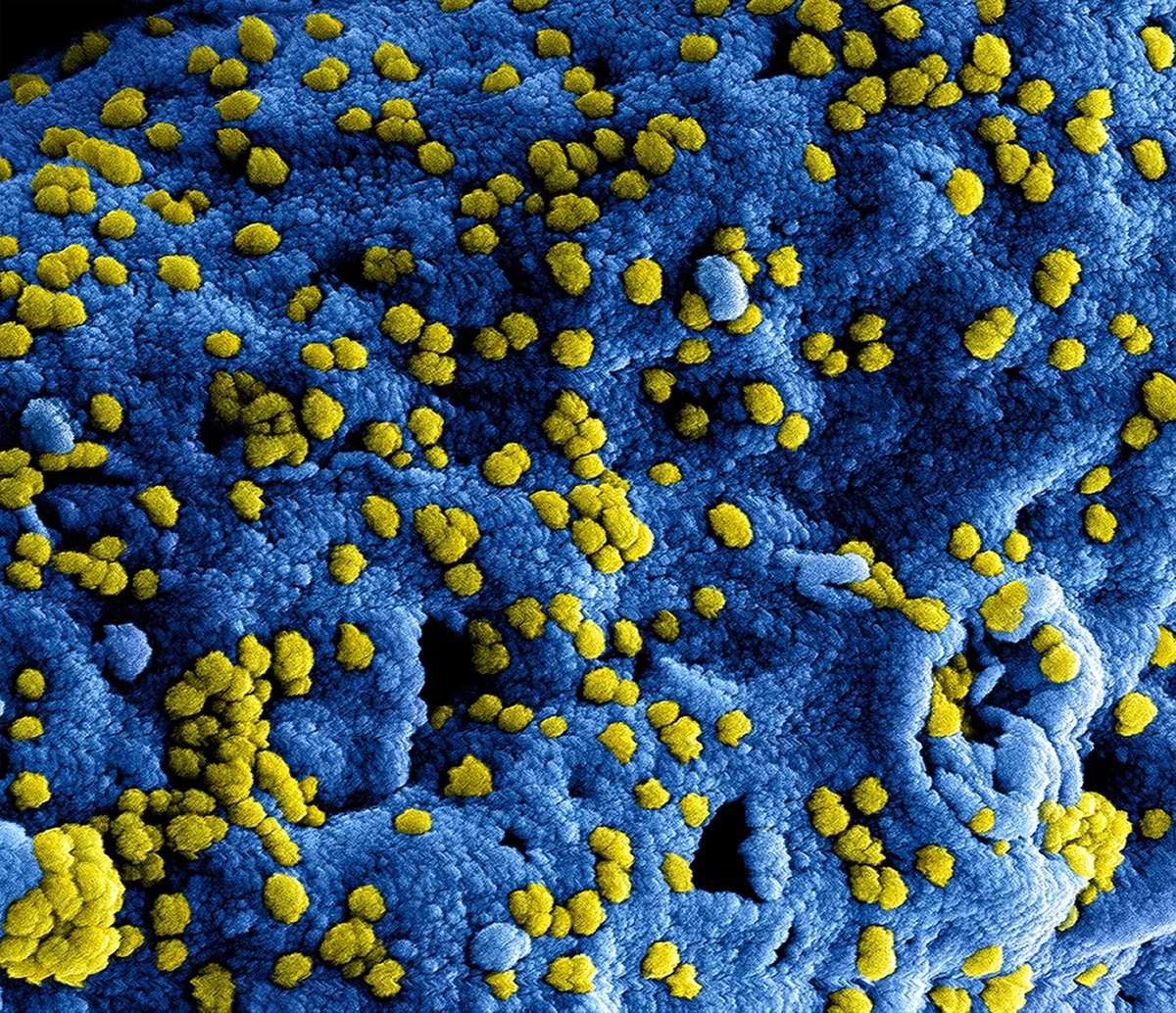 arsenic in water risks