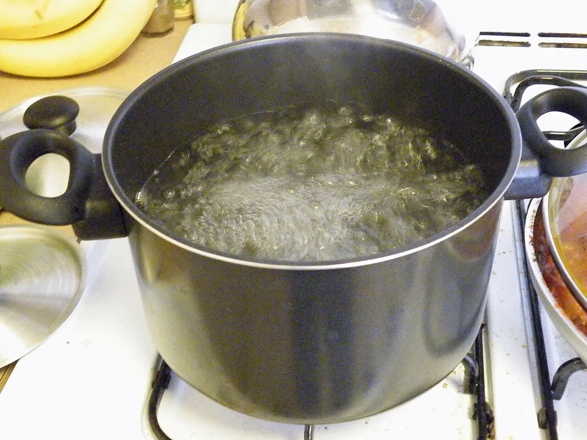 boiling water purification