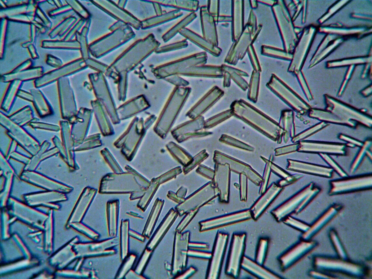 Lead contaminant