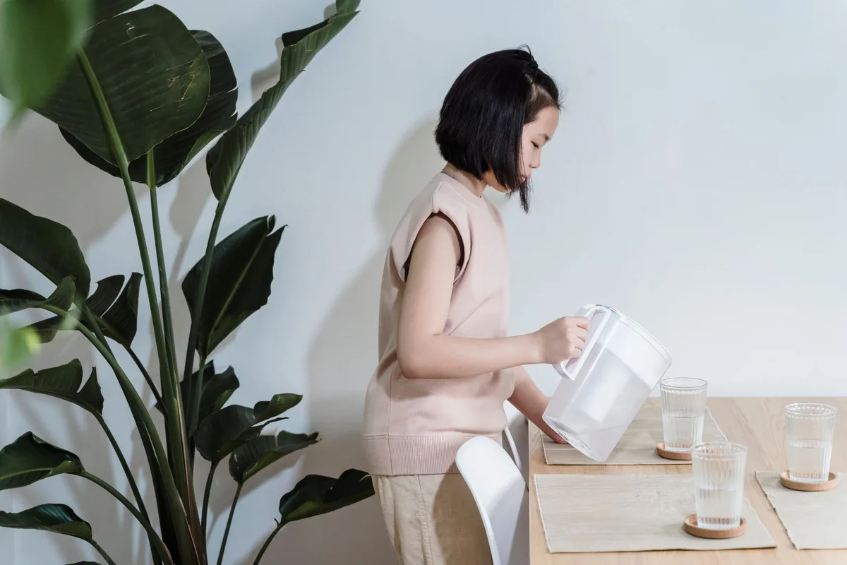 PUR water filter pitcher