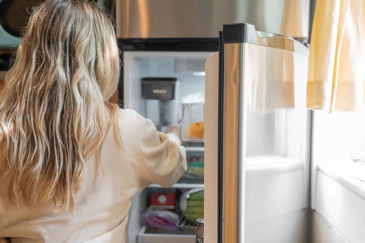 refrigerator water filters