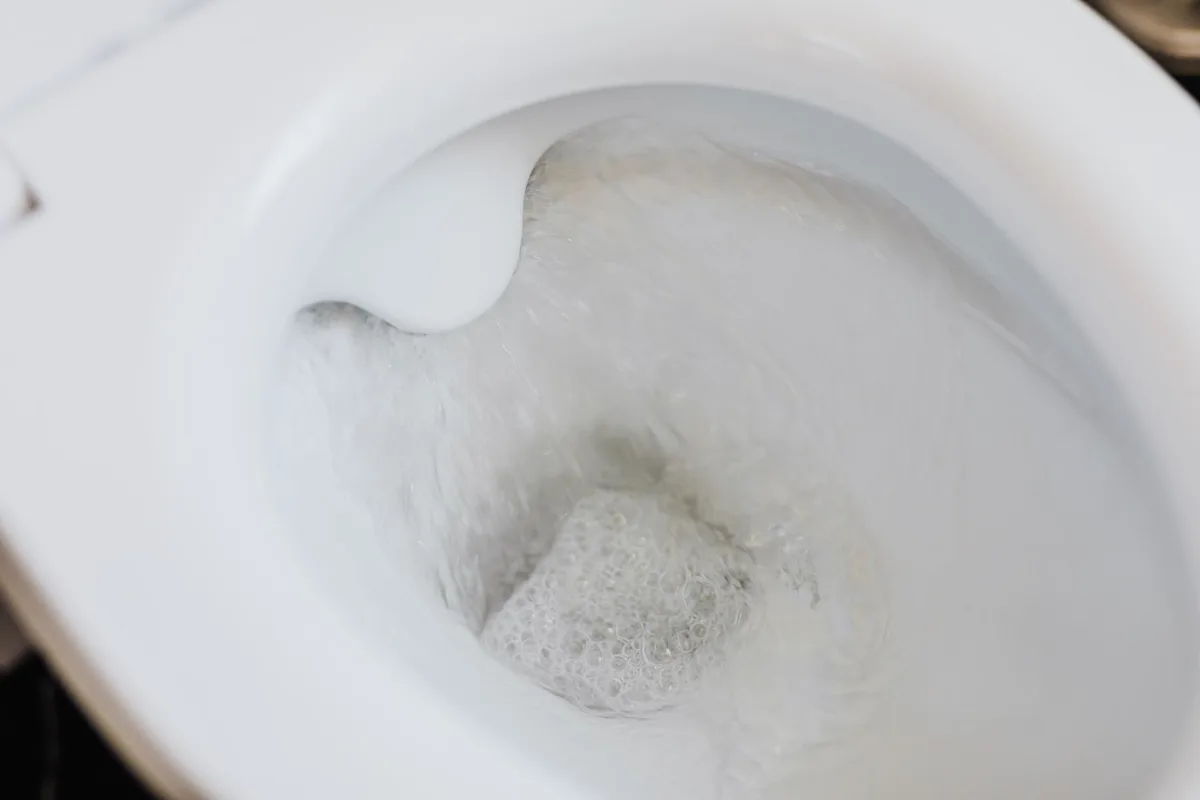 ro system flushing