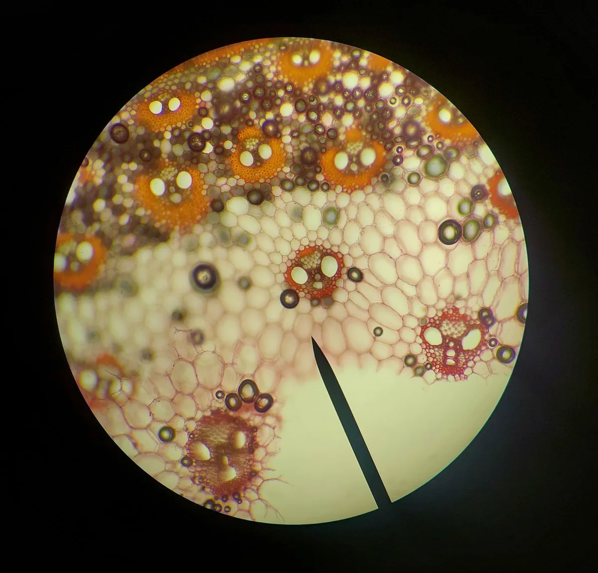 semipermeable membrane RO