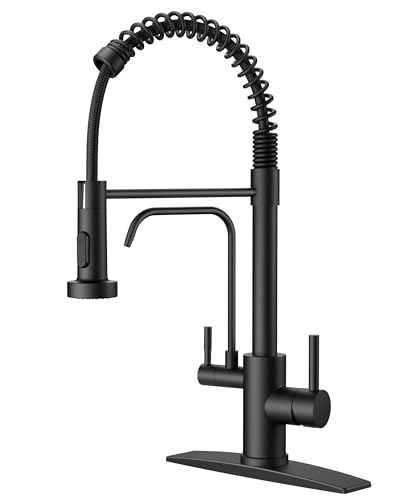 Best Kitchen Faucet With Water Filter
